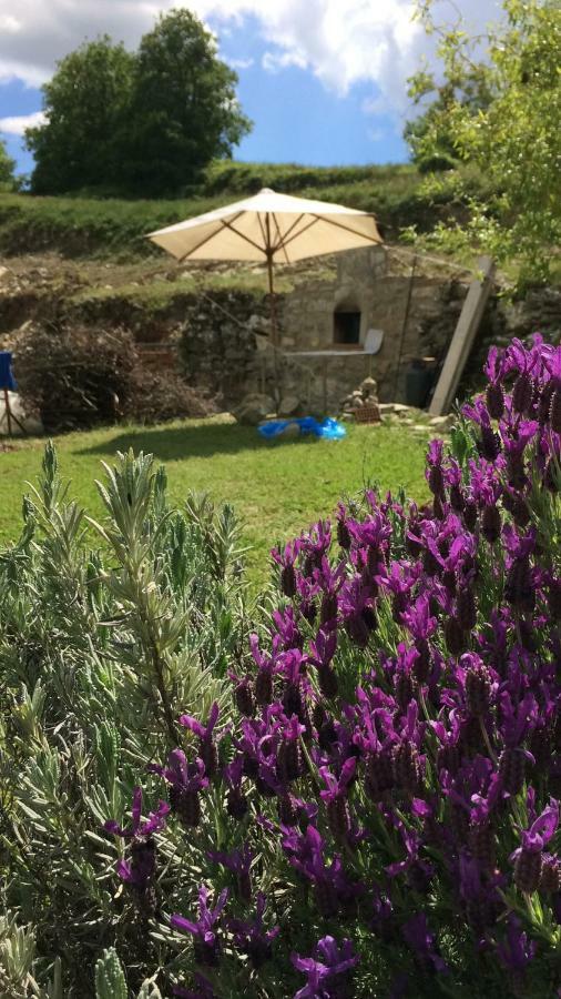 Il Borghetto Di Carra Leilighet Talla Eksteriør bilde